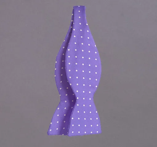 Printed Dot Bow Tie