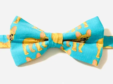 Snail Bow Tie